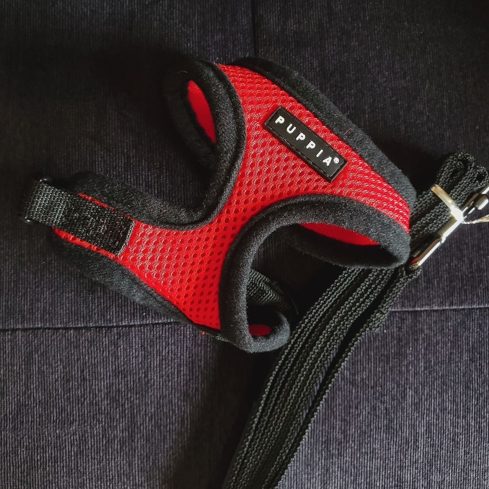 Puppia Cat Small Dog Harness AND Leash - Unused